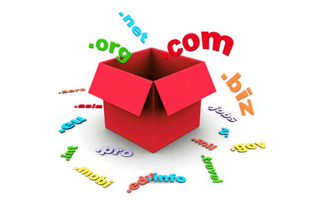 Domain Registration